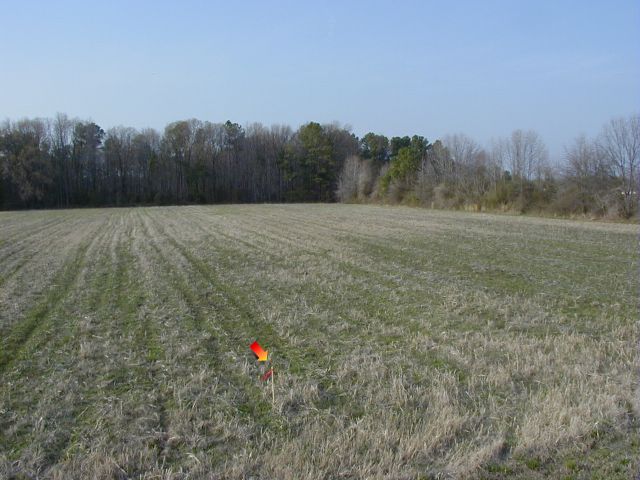 Surveyed field