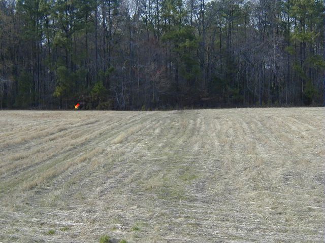 Surveyed field
