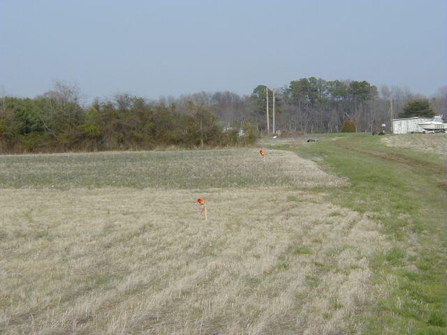 Surveyed field