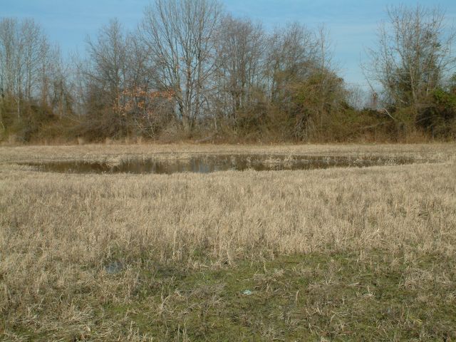 Surveyed field