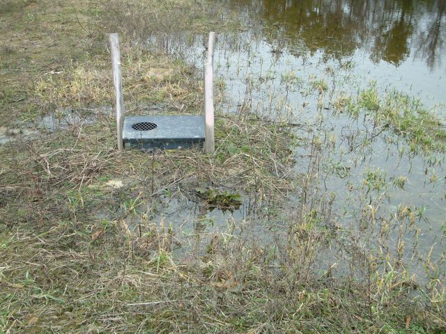 Surveyed field