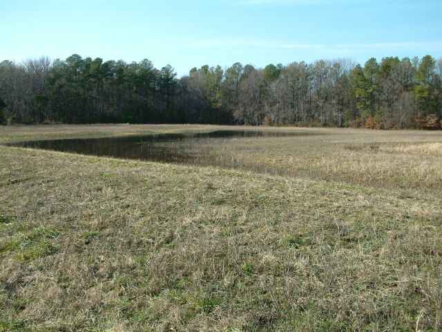Surveyed field