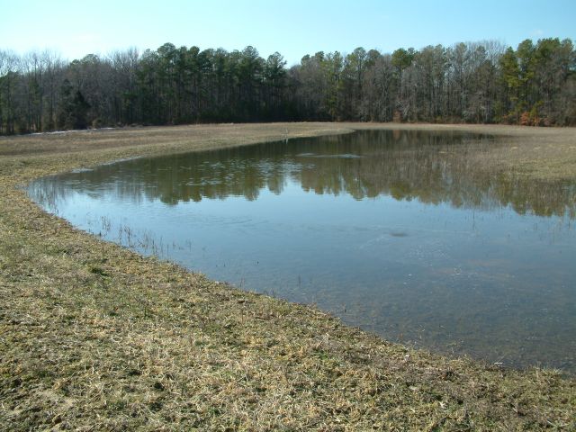 Surveyed field