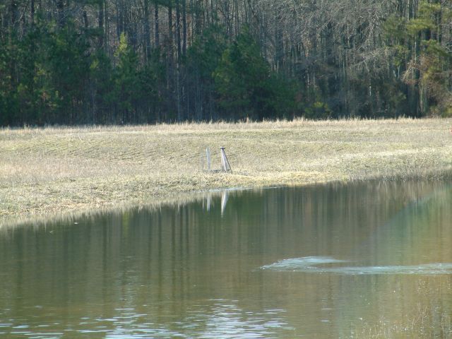 Surveyed field