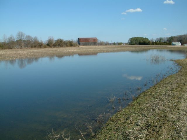 Surveyed field