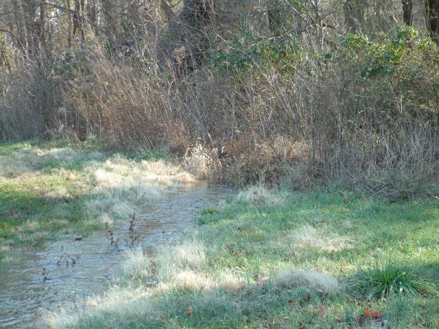Surveyed field